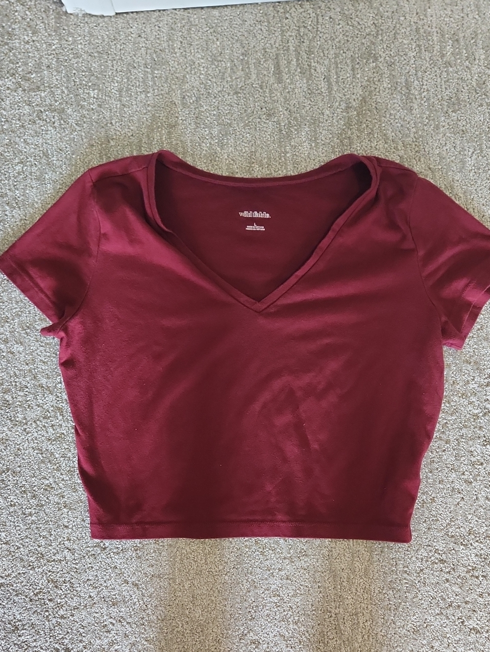 wild fable Burgundy V-Neck Crop Top